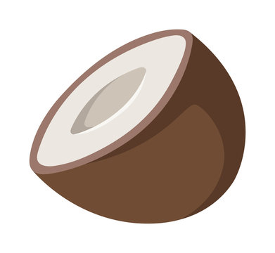 Coconut vector illustration.