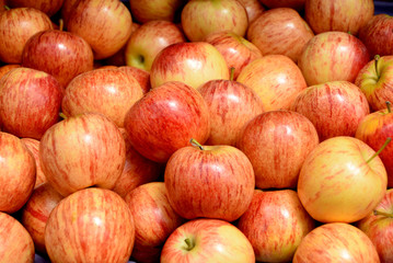 Fresh apple in city market of Birmingham