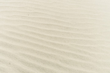 Fototapeta na wymiar 写真素材「片貝海水浴場の砂模様」