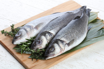 Seabass
