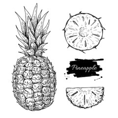 Vector hand drawn pineapple and sliced pieces set. Tropical summ - obrazy, fototapety, plakaty