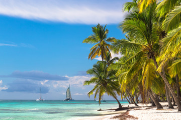 Landscape of paradise tropical island beach and catamarans