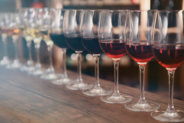 Many glasses of different wine in a row on bar counter