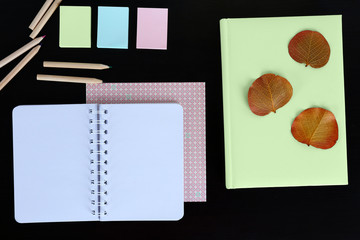 Office and school set with stationery and notebooks on a table