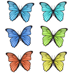 Fototapeta na wymiar Decorative colorful hand drawn butterflies set