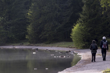 Old people walking round the lake