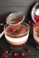 Delicious dessert with chocolate powder and rowan in glass