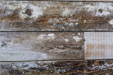 Wooden old background, space for text