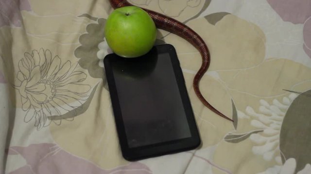 tempter serpent crawling on the tablet