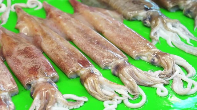 Fresh Raw Squid and cuttlefish in Fish Market