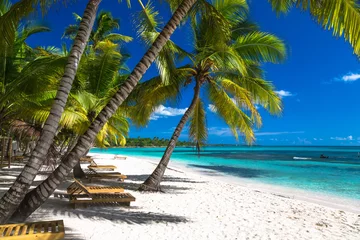 Fotobehang Tropical beach in caribbean sea, Saona island, Dominican Republic © fazeful