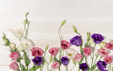 Naklejka na ściany i meble Colorful eustoma flowers on white wooden background and free spa