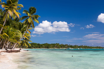 Beautiful caribbean beach on Saona island, Dominican Republic