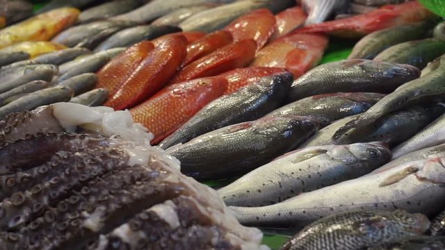 Asian fresh fishes, seafood selling in Taiwan water market 