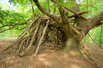 Fototapeta premium Abenteuerliche Holzhütte im Wald