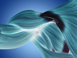 Human anatomy muscle shoulder. 3D illustration.