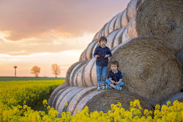 Two children, boy brothers in a oilseed rape field, sitting on a