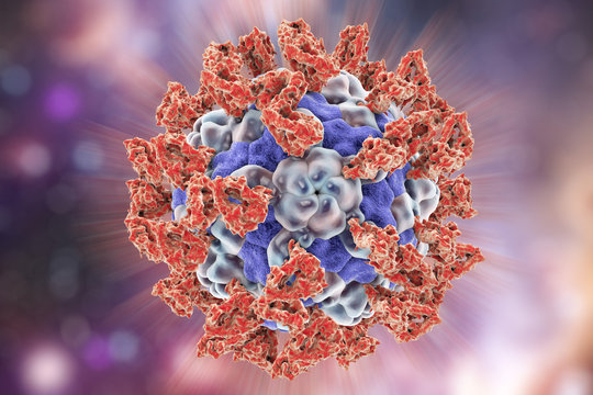 Parechovirus with attached integrin molecules, 3D illustration