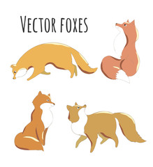 Set of cute foxes for design