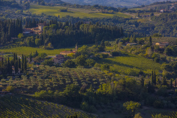 Fototapeta na wymiar Chianti vineyard, Tuscany, Italy