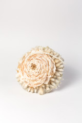 floristry bouquet