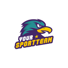 Hawk Team Logo