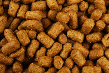 Dog food, closeup