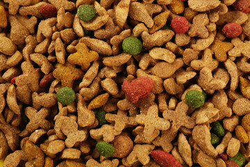 Dog food, closeup