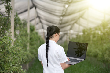 Woman with laptop in apple orchard