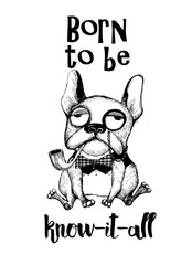 Vector funny dogs characters