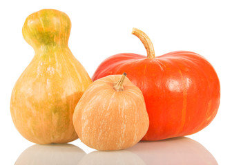 Set mature pumpkins of different shapes isolated on white .