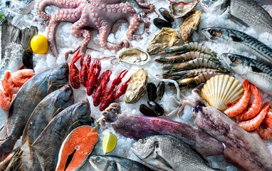 Seafood on ice