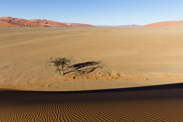 Fototapeta na wymiar View from the dune 45 in the Namib Desert, Sossusvlei, Namibia