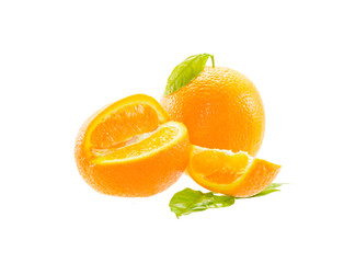  Orange fruit