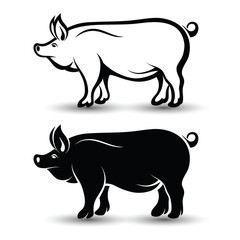 Pig vector