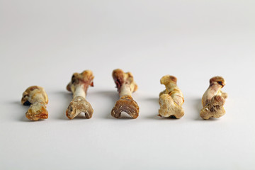 Fünf abgenagte Hühnerknochen