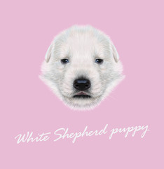 Vector Illustrated Portrait of White Sheperd puppy.