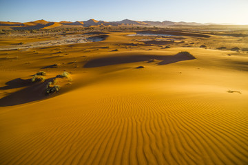 Fototapeta na wymiar View of red dunes in in the Namib Desert, in Sossusvley, in the Namib-Naukluft National Park of Namibia