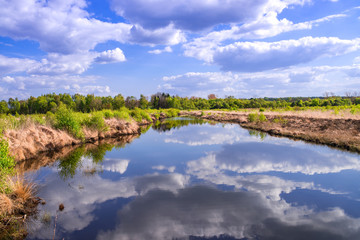 moor landscape