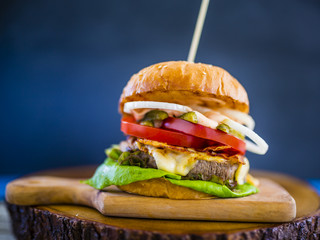 Hamburger, homemade hamburger with beef and fresh vegetables