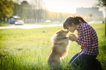 Young woman sitting with her dog sheltie on the grass and playing with the shetland sheepdog