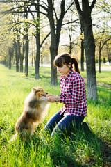 Young woman sitting with her dog sheltie on the grass and playing with the shetland sheepdog in the park