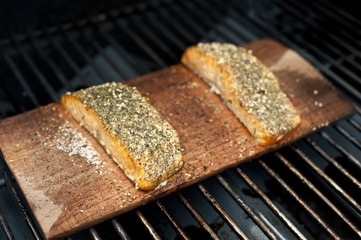Grilled Wild Salmon