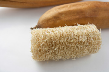 luffa