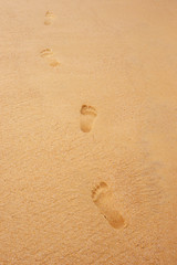 Fototapeta na wymiar Human footprints on beach sand background