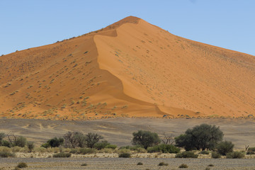 Fototapeta na wymiar View of red dunes in the Namib Desert, Sossusvlei, Namibia