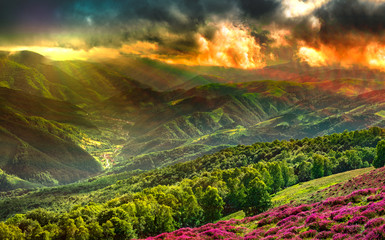 God rays over the mountains - Romania. Magura peak, Cindrel mountains, Sibiu county, 1300m - obrazy, fototapety, plakaty