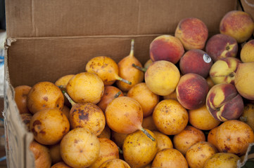 Passion Fruit