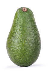 One avocado close-up