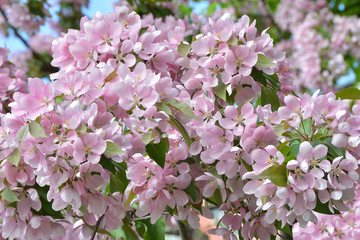 Moscow, may really become beautiful